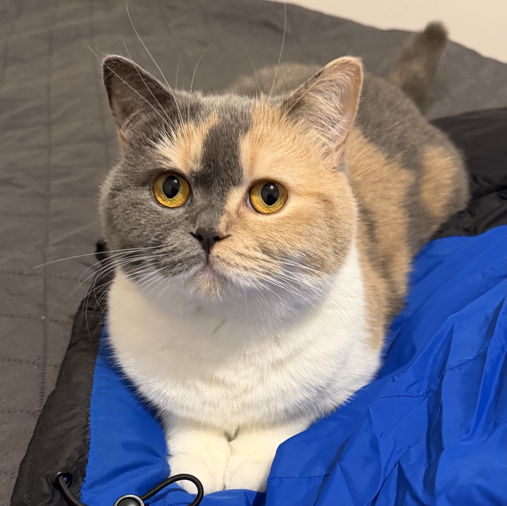 Ako som robil tento web